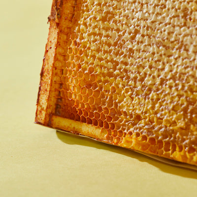 VIDEO: How to taste honey like a pro!