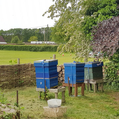 Honey from a back garden, Lopcombe, Hampshire