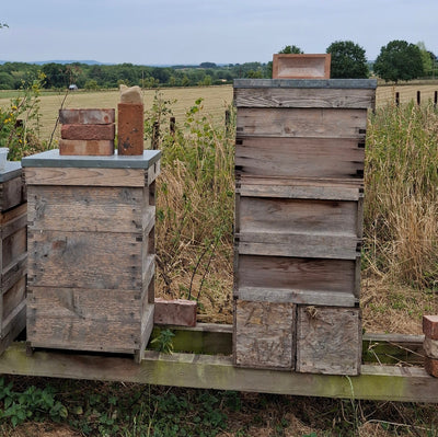 Honey from a garden, Blaisdon, Forest of Dean, Gloucestershire