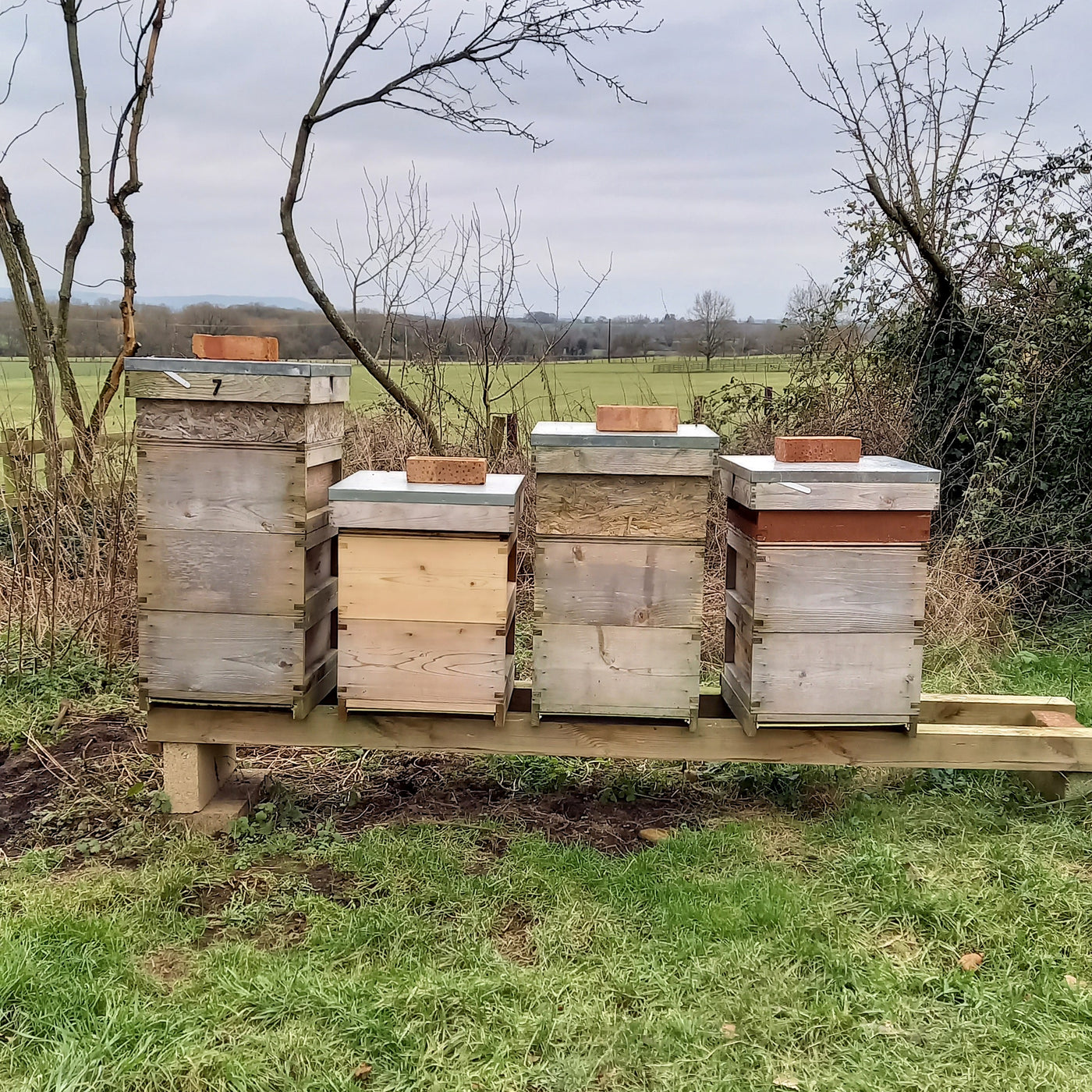 Honey from a garden, Blaisdon, Forest of Dean, Gloucestershire