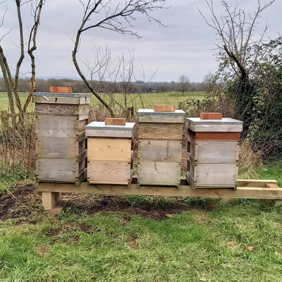 Honey from a garden, Blaisdon, Forest of Dean, Gloucestershire