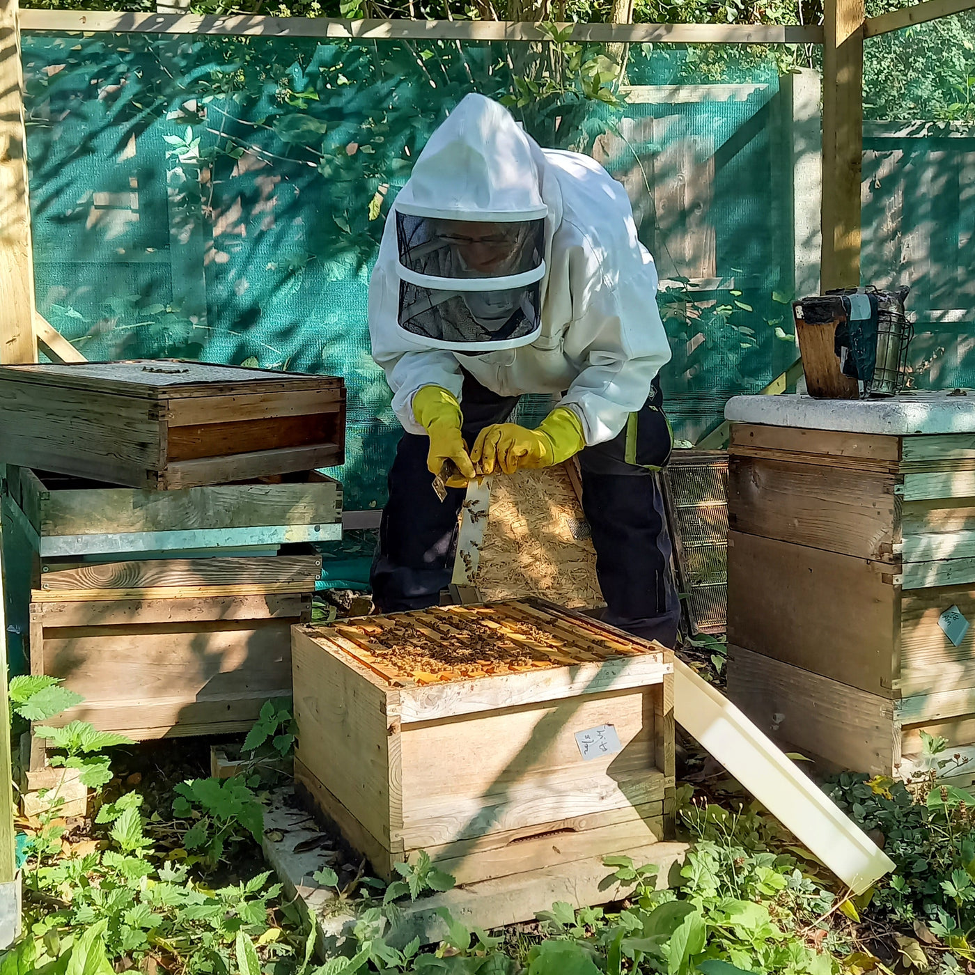Honey from a garden, Dulwich, London