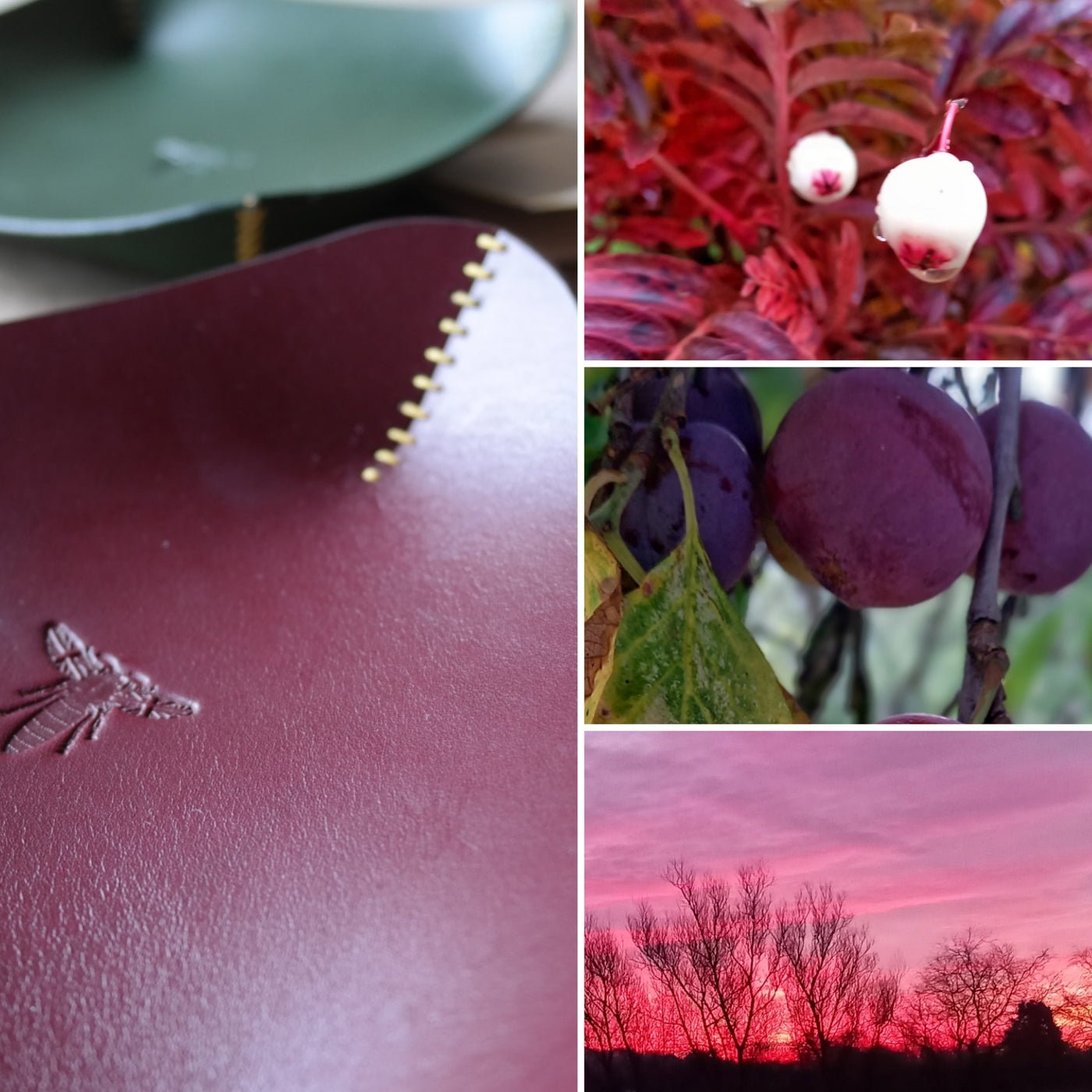 Limited edition leather coin tray in burgundy