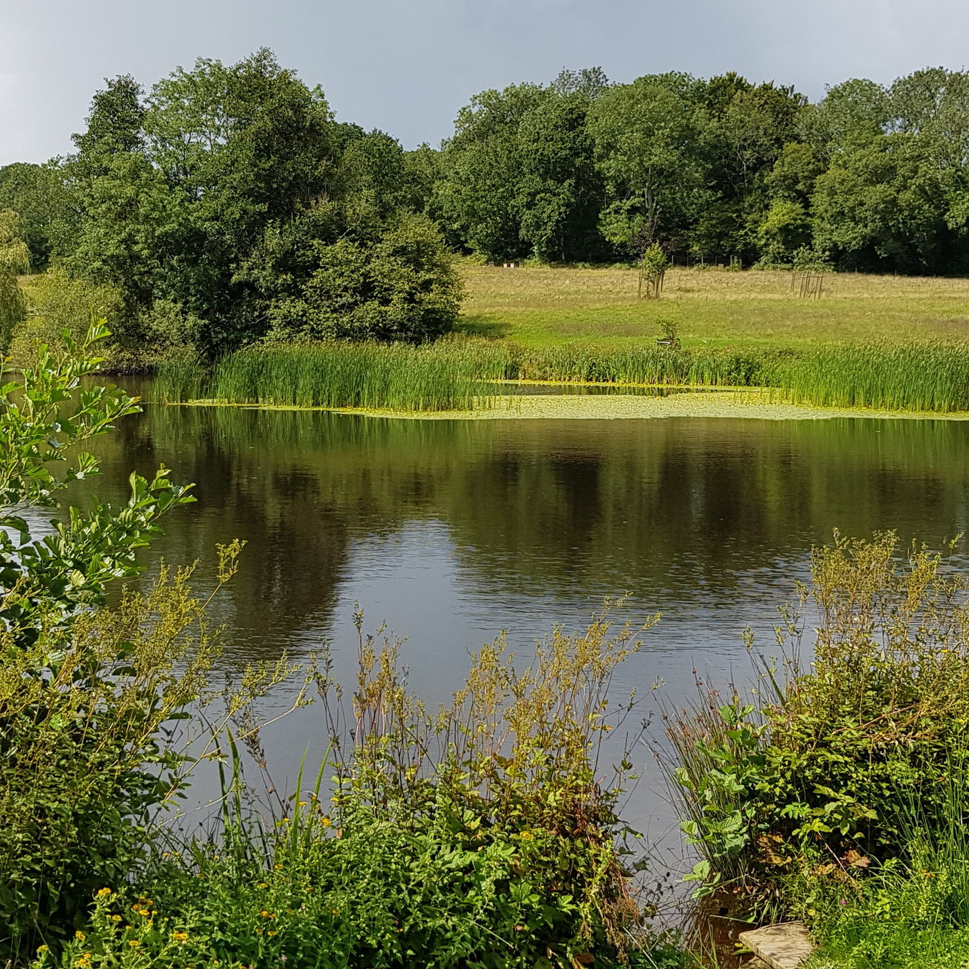Honey from wildflower meadows at Rotherfield, Sussex