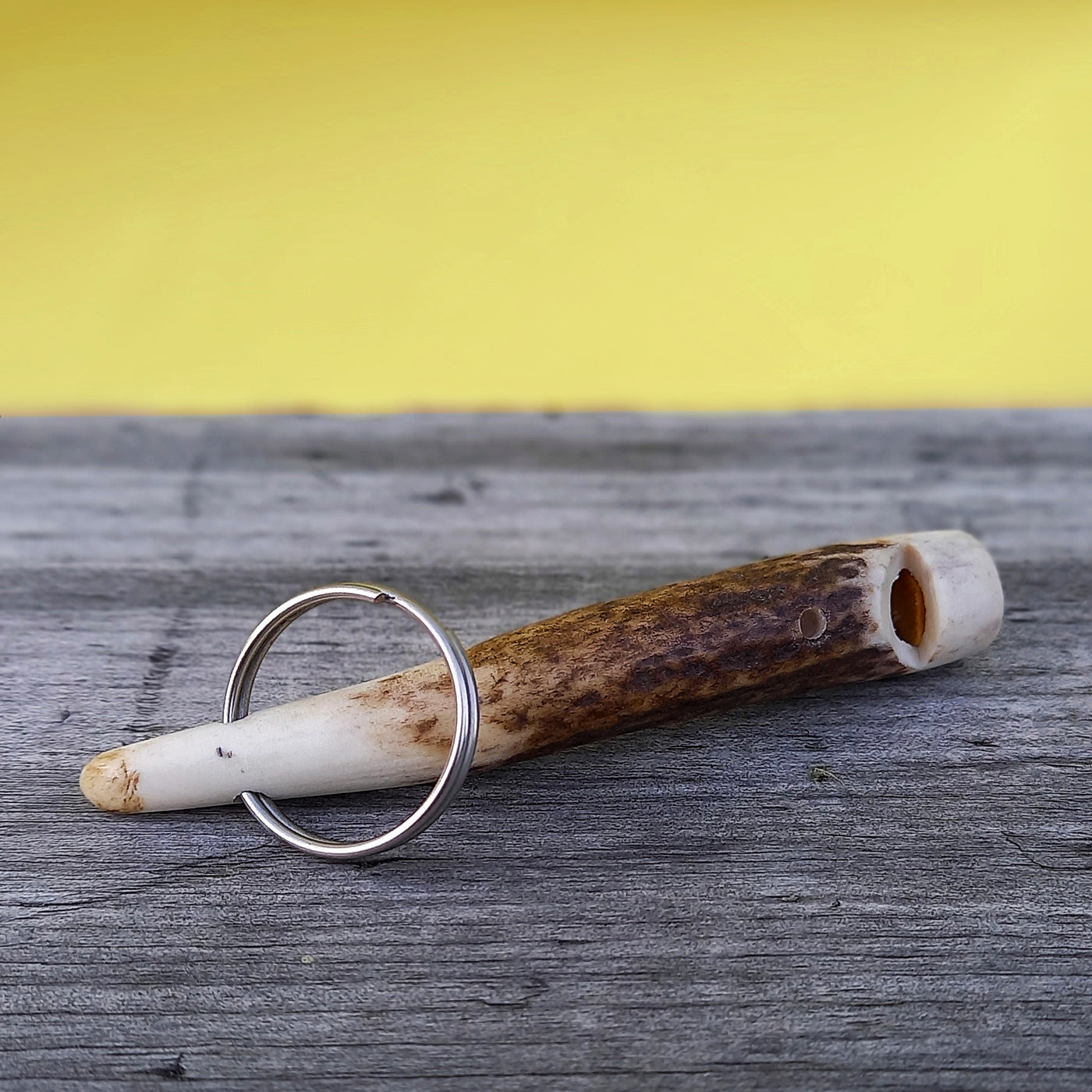 Dog whistle made from Scottish antler
