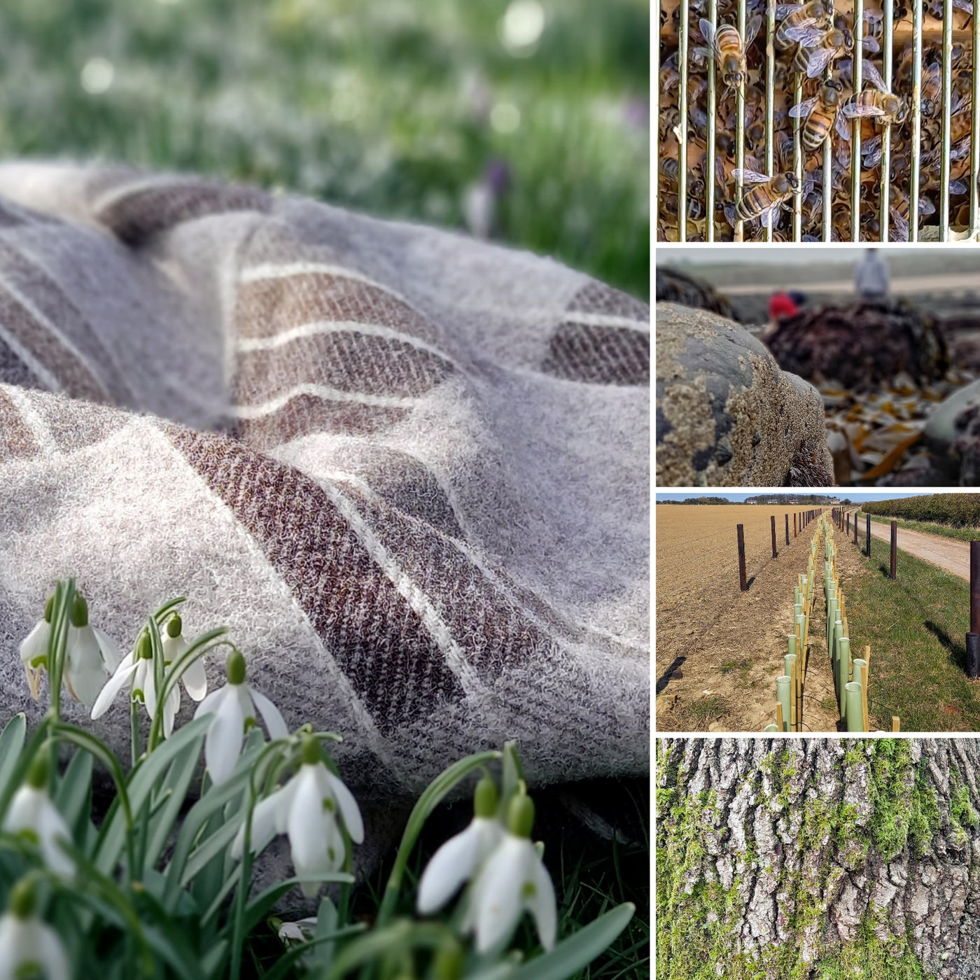 The Seaside Shetland wool throw