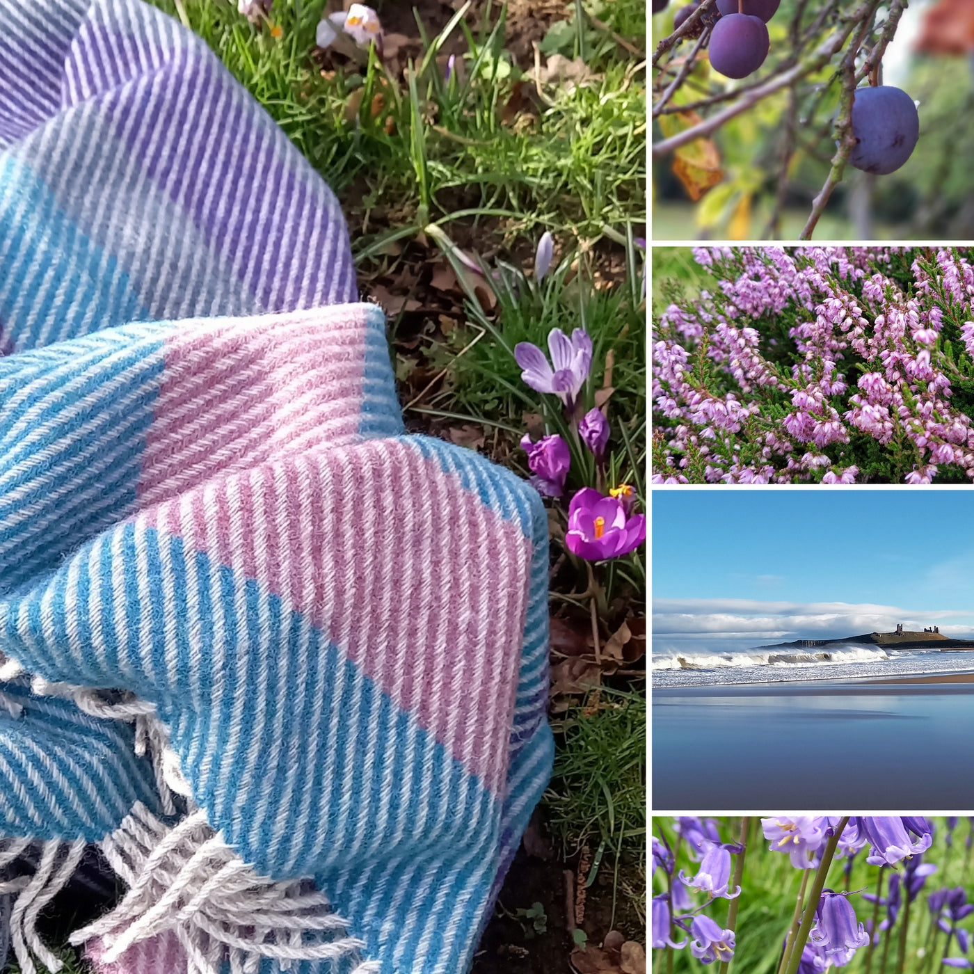 The Heather Shetland wool throw