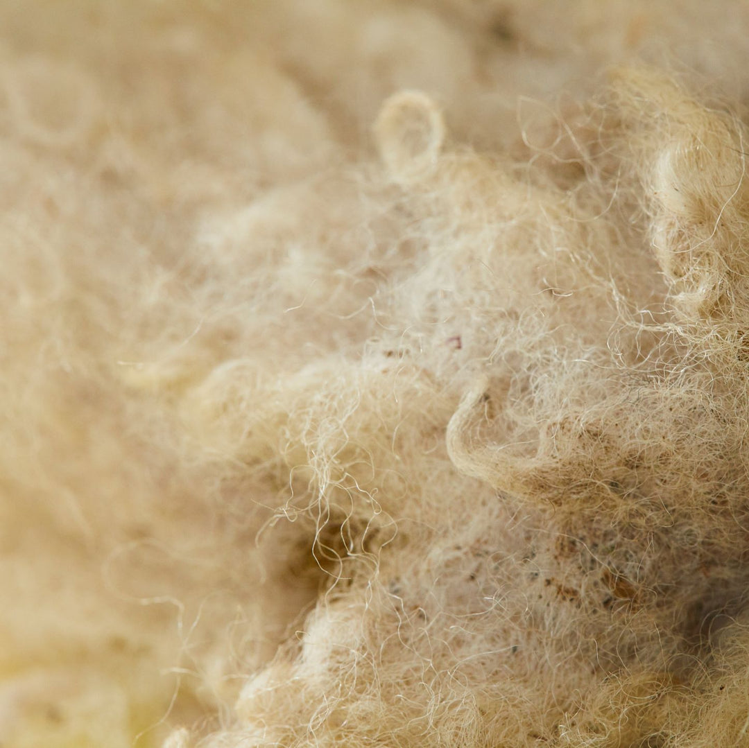 A Guide to The Best Sofa Fillings | Castlery US, image size:1080x1079